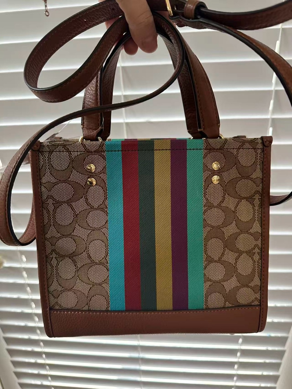 COACH Dempsey 22  Signature Canvas Stripe Tote - Brown with Multicolor Stripes - Picture 2 of 7
